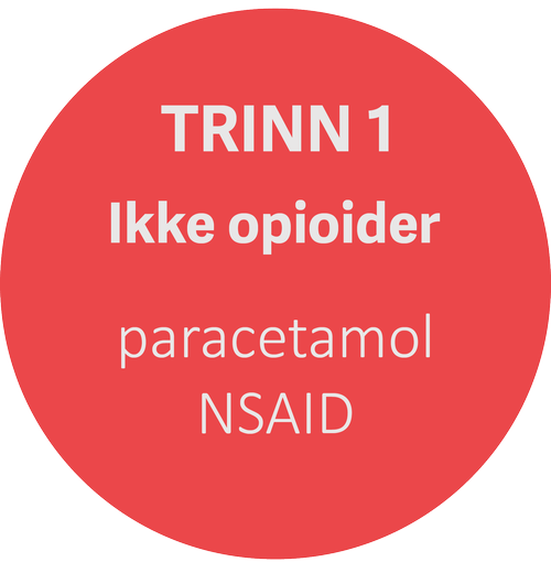 Trinn 1