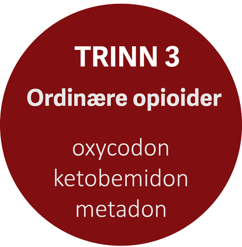 Trinn 3